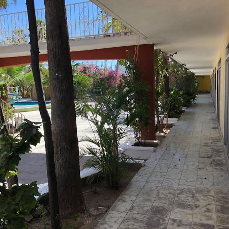 Hotel Calafia La Paz Eksteriør bilde