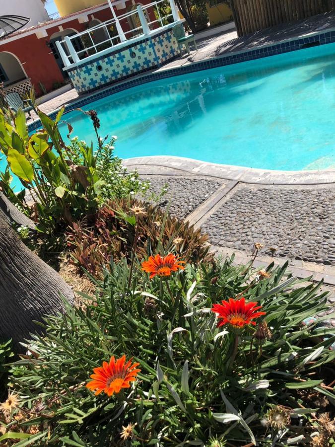 Hotel Calafia La Paz Eksteriør bilde