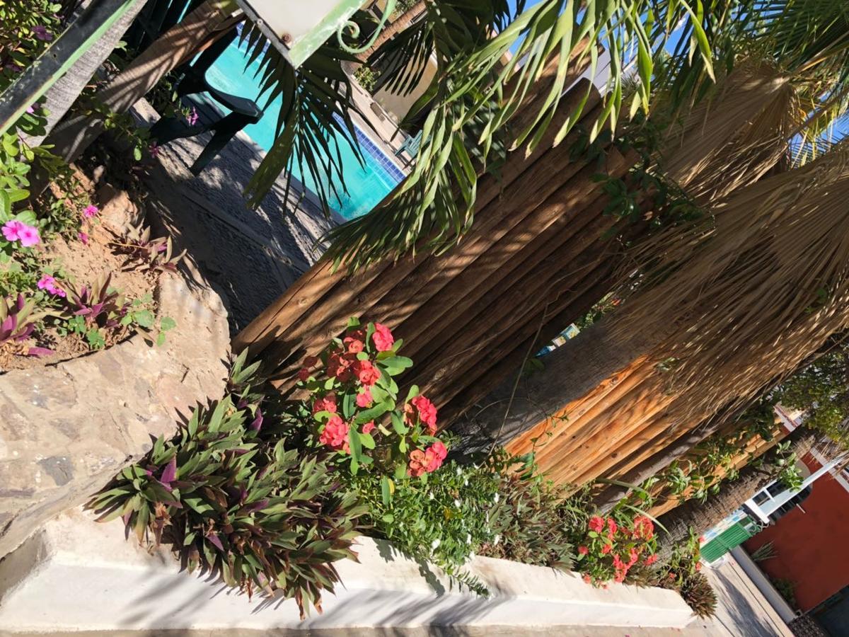 Hotel Calafia La Paz Eksteriør bilde