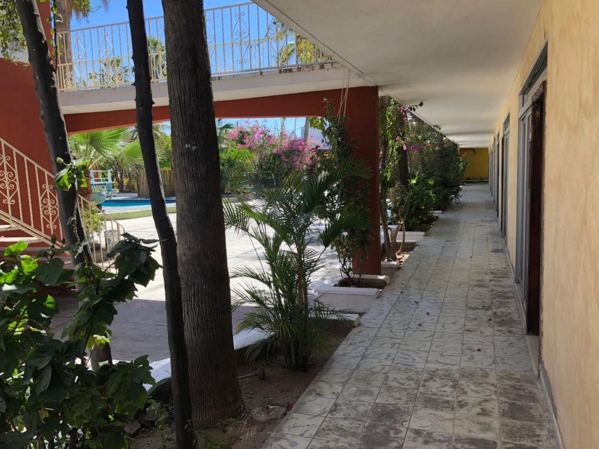 Hotel Calafia La Paz Eksteriør bilde