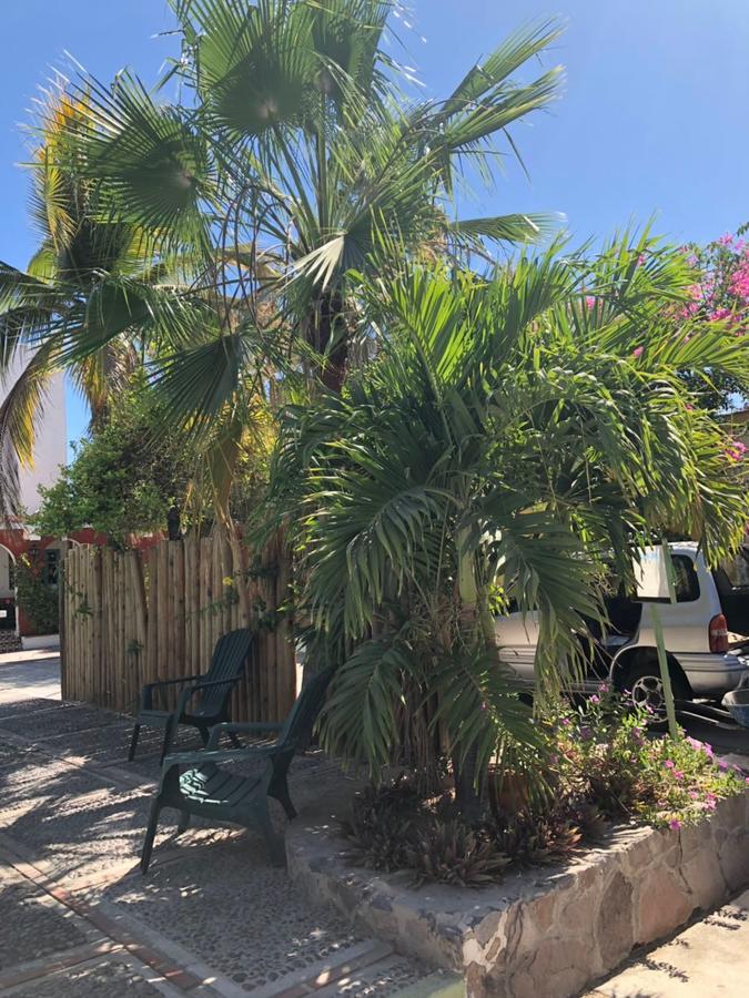 Hotel Calafia La Paz Eksteriør bilde